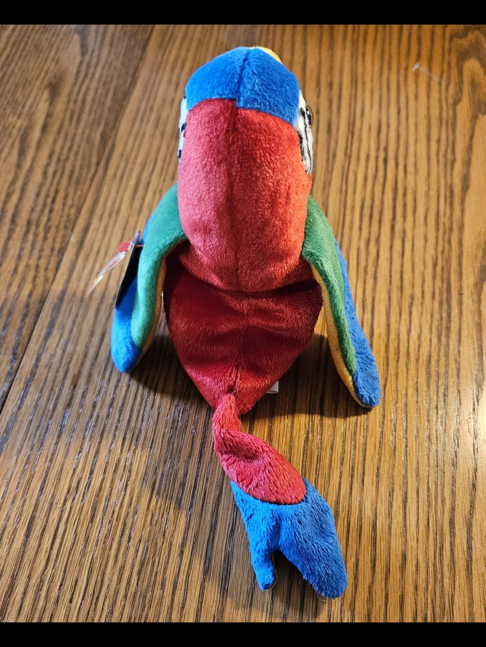 Ty Multicolor Plush Parrot Toy - Blue, Red, Green, Yellow Jabber 6.5